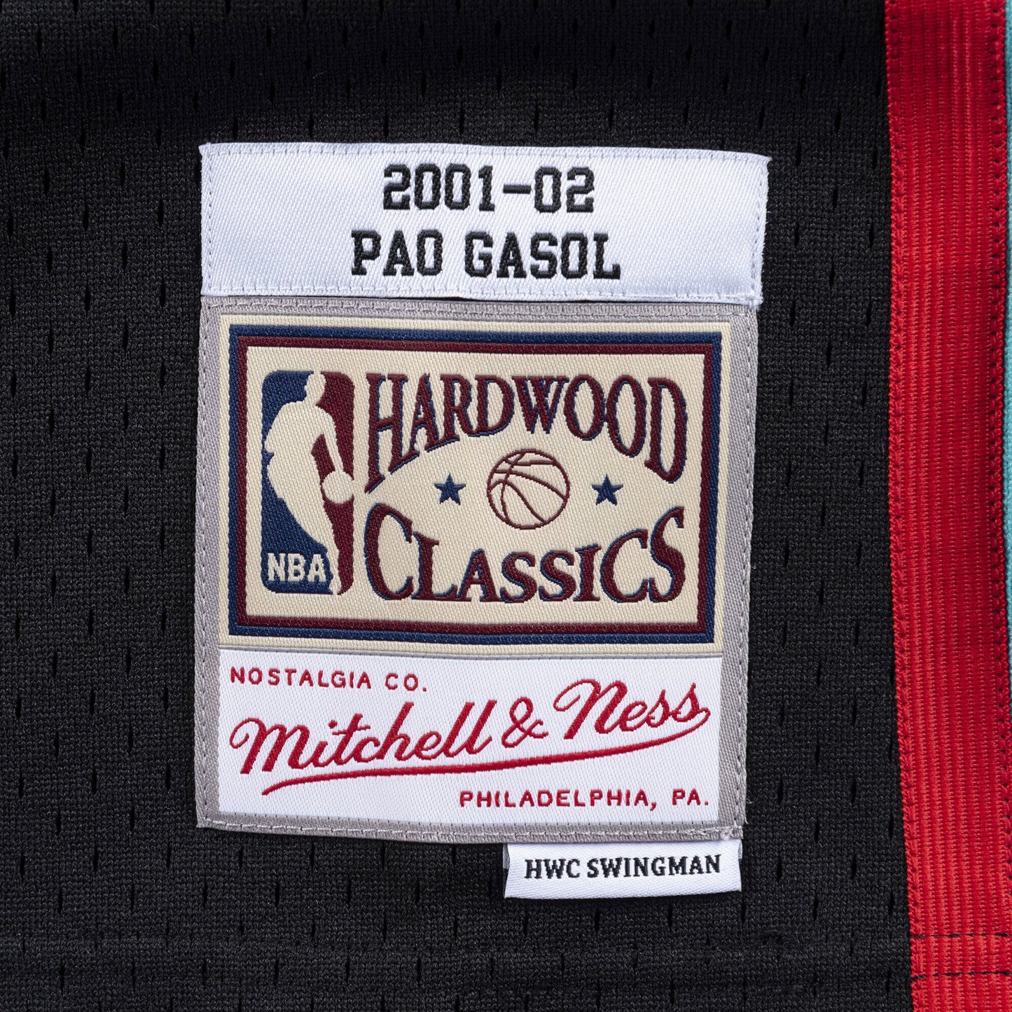 Memphis Grizzlies Mitchell & Ness Swingman Jersey Pau Gasol 2001-02