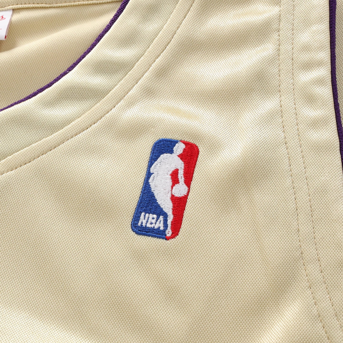 Los Angeles Lakers NBA Mitchell & Ness Authentic HOF Jersey - Kobe Bryant