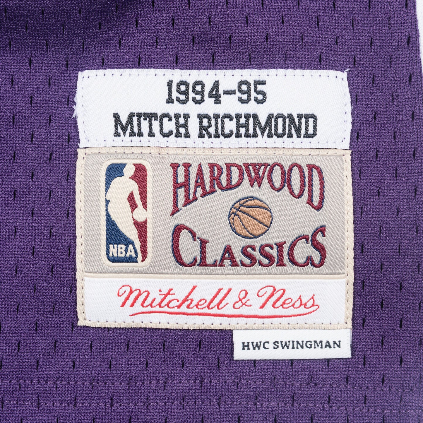 Sacramento Kings Mitchell & Ness Swingman Jersey Mitch Richmond 1994-95